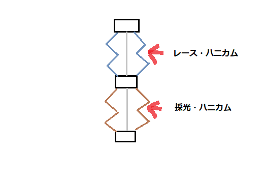 ハニカムシェード断面