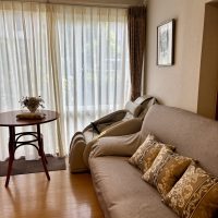 オーダーカーテン残布で作る上質アイテム｜共生地クッション＆ティッシュケースカバー事例