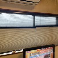 猫も喜ぶ！遮熱・遮光と見た目を両立したハニカムスクリーン施工事例（リビング南腰窓）