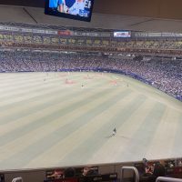 人口芝とタイルカーペット
